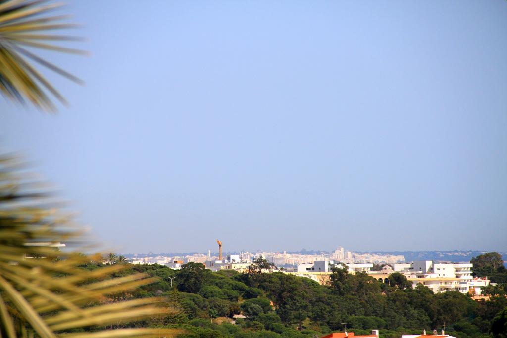 Mshomes Corcovada البوفيرا المظهر الخارجي الصورة